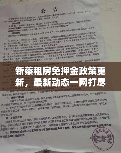 新蔡租房免押金政策更新,最新动态一网打尽