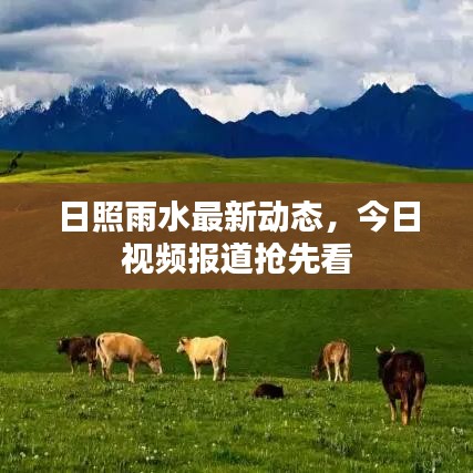 日照雨水最新动态,今日视频报道抢先看