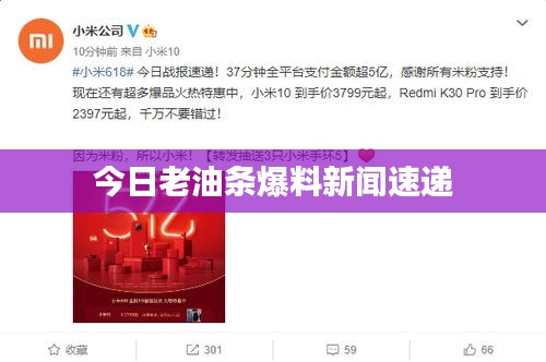 贵险贱璧 第4页