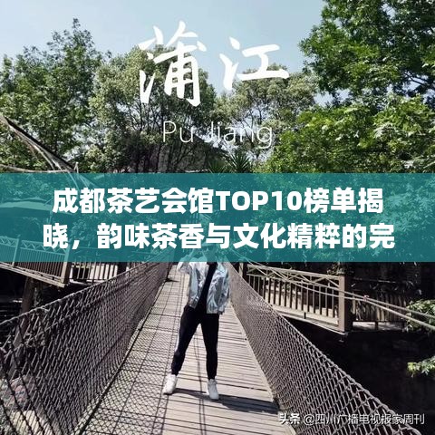 成都茶艺会馆TOP10榜单揭晓,韵味茶香与文化精粹的完美交融