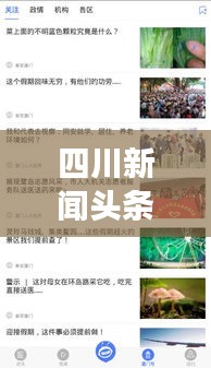 四川新闻头条回顾，时事热点一网打尽