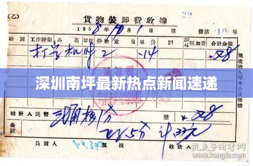 独出新裁 第3页