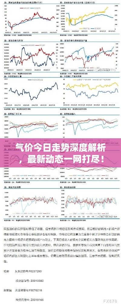 气价今日走势深度解析，最新动态一网打尽！