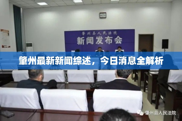肇州最新新闻综述，今日消息全解析
