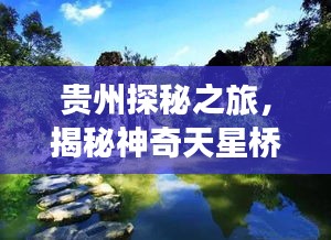 比翼鸟 第5页
