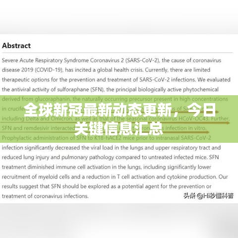 全球新冠最新动态更新，今日关键信息汇总