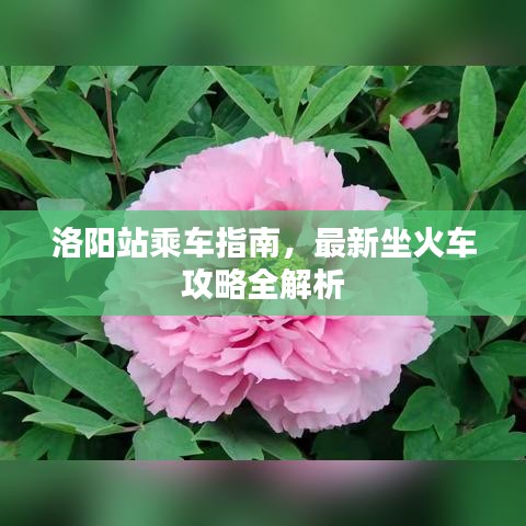 洛阳站乘车指南,最新坐火车攻略全解析