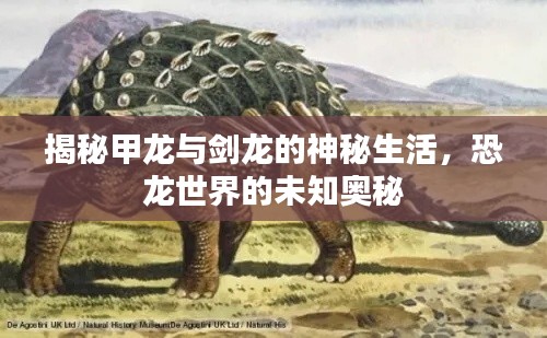 揭秘甲龙与剑龙的神秘生活,恐龙世界的未知奥秘