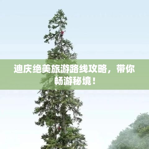 迪庆绝美旅游路线攻略，带你畅游秘境！