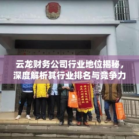 云龙财务公司行业地位揭秘，深度解析其行业排名与竞争力优势