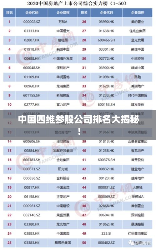 中国四维参股公司排名大揭秘！