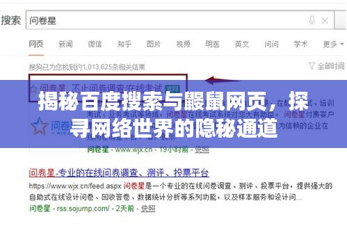 揭秘百度搜索与鼹鼠网页，探寻网络世界的隐秘通道