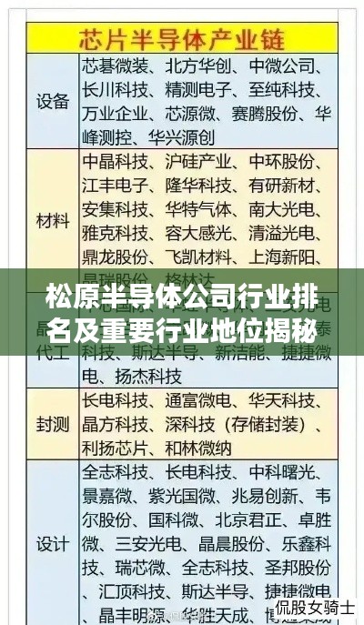 松原半导体公司行业排名及重要行业地位揭秘