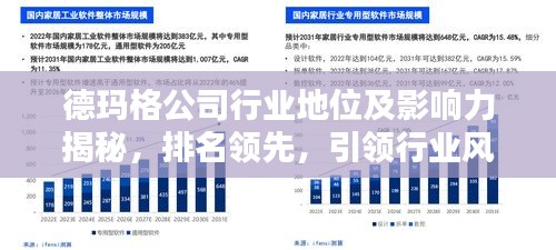 德玛格公司行业地位及影响力揭秘，排名领先，引领行业风潮