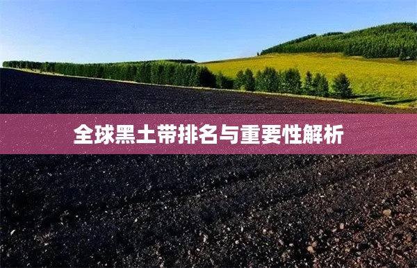 草率从事 第4页