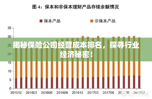 揭秘保险公司经营成本排名，探寻行业经济秘密！