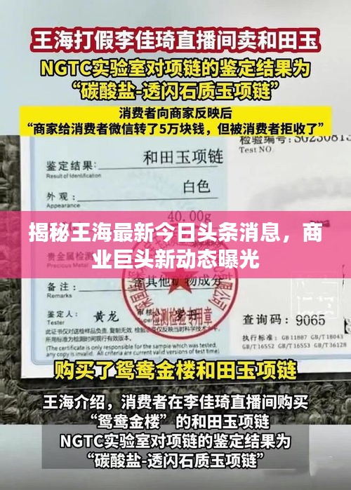 揭秘王海最新今日头条消息，商业巨头新动态曝光