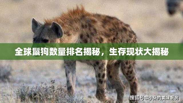 坐井观天 第4页