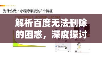 解析百度无法删除的困惑,深度探讨百度搜索的留存机制