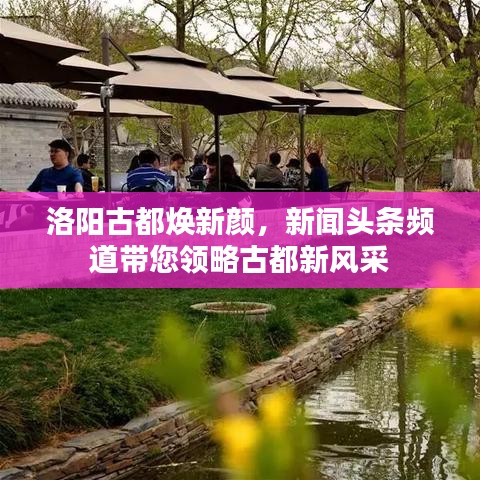 洛阳古都焕新颜，新闻头条频道带您领略古都新风采