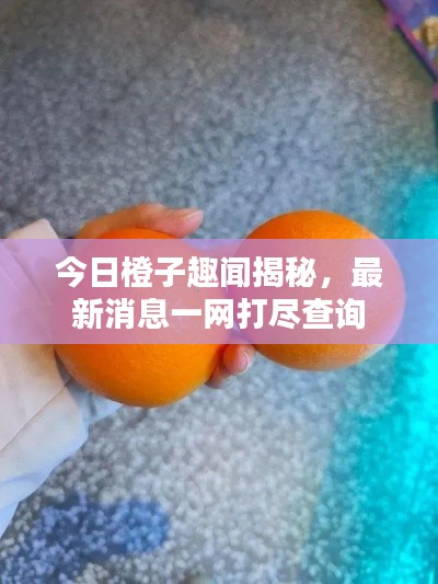 今日橙子趣闻揭秘，最新消息一网打尽查询