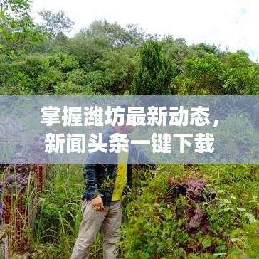 掌握潍坊最新动态，新闻头条一键下载