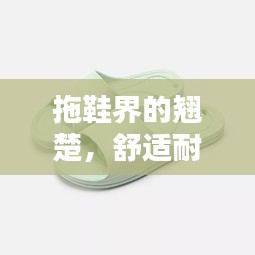拖鞋界的翘楚，舒适耐穿前十名品牌大揭秘！