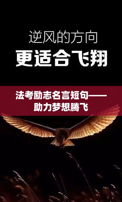 法考励志名言短句——助力梦想腾飞