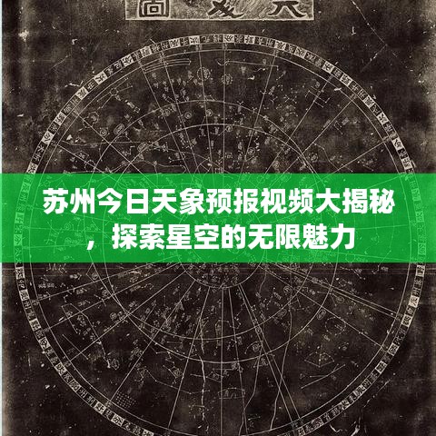 飞燕化龙 第4页