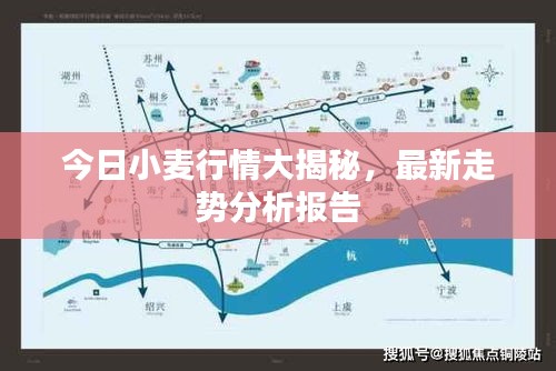 今日小麦行情大揭秘，最新走势分析报告