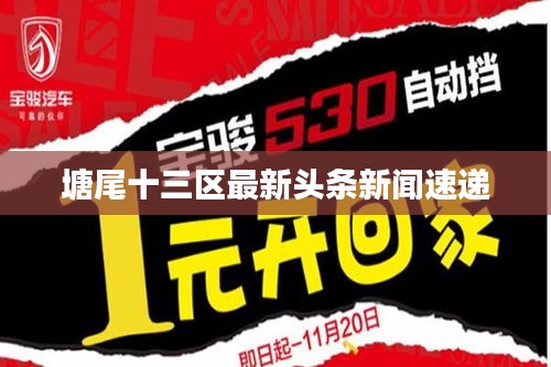 塘尾十三区最新头条新闻速递