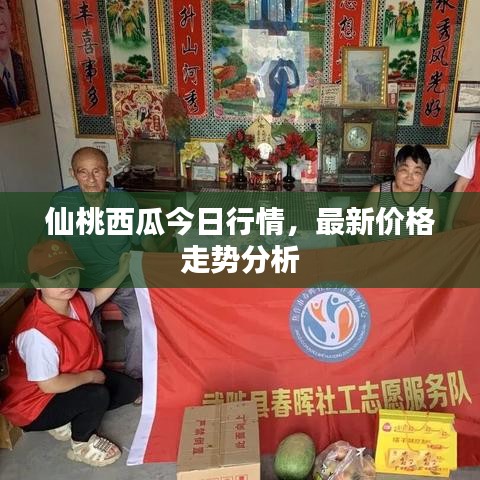 仙桃西瓜今日行情,最新价格走势分析