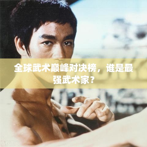 全球武术巅峰对决榜,谁是最强武术家?