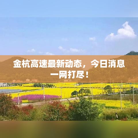 千里迢迢 第4页