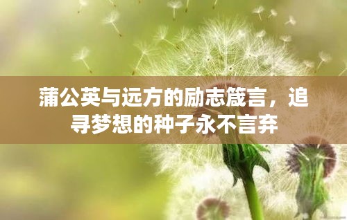 蒲公英与远方的励志箴言,追寻梦想的种子永不言弃