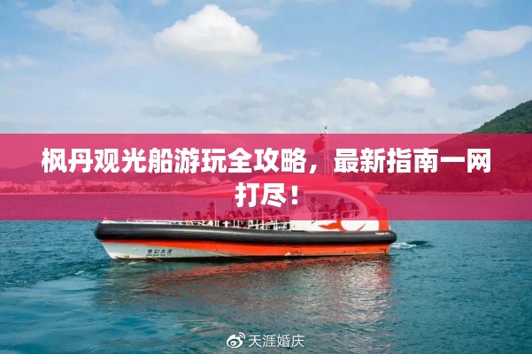 枫丹观光船游玩全攻略，最新指南一网打尽！