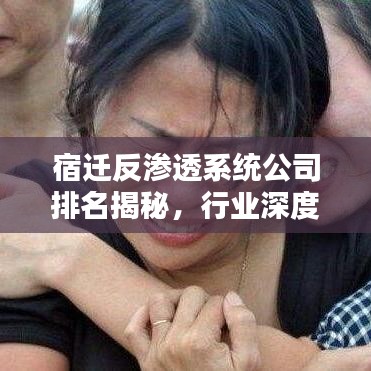 宿迁反渗透系统公司排名揭秘,行业深度分析与趋势预测