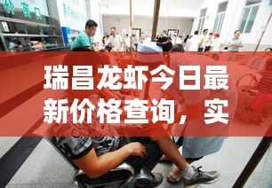 瑞昌龙虾今日最新价格查询，实时动态一网打尽！