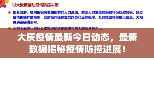 大庆疫情最新今日动态，最新数据揭秘疫情防控进展！