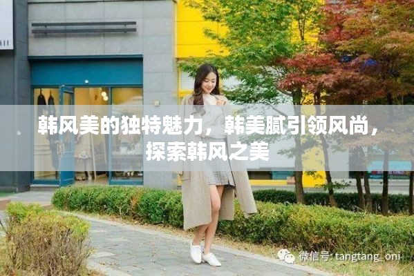 韩风美的独特魅力,韩美腻引领风尚,探索韩风之美