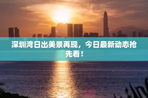 深圳湾日出美景再现,今日最新动态抢先看!