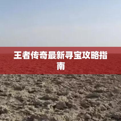 虫书鸟篆 第4页