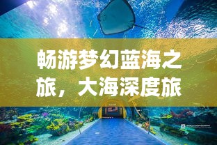畅游梦幻蓝海之旅，大海深度旅游攻略