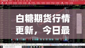 白糖期货行情更新，今日最新消息与市场走势分析
