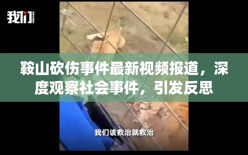 鞍山砍伤事件最新视频报道，深度观察社会事件，引发反思