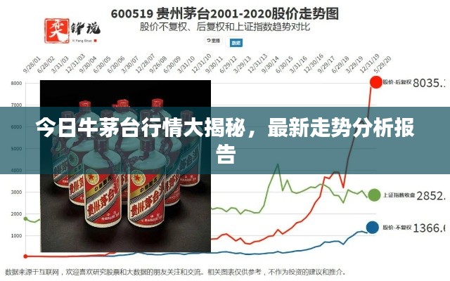 今日牛茅台行情大揭秘，最新走势分析报告