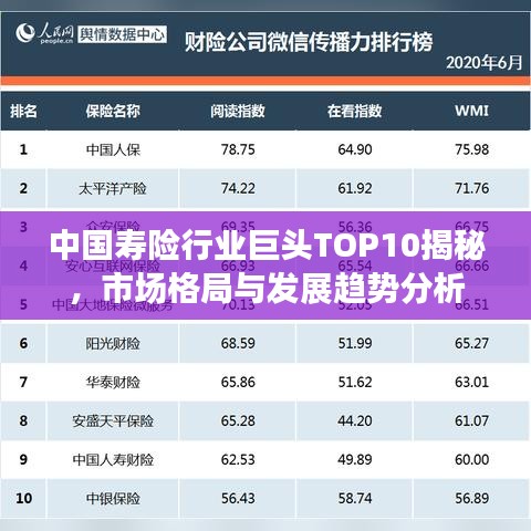 中国寿险行业巨头TOP10揭秘，市场格局与发展趋势分析