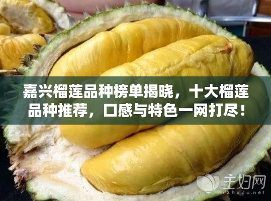 嘉兴榴莲品种榜单揭晓，十大榴莲品种推荐，口感与特色一网打尽！
