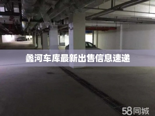 蠡河车库最新出售信息速递