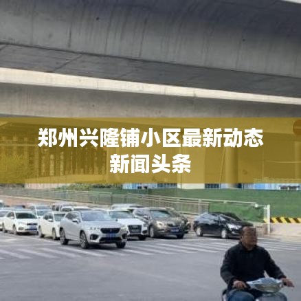 飞扬拨扈 第3页